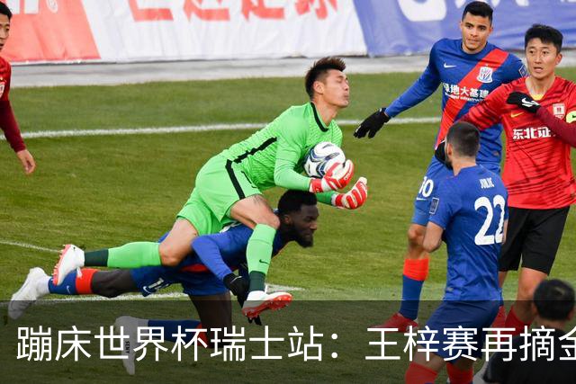 蹦床世界杯瑞士站：王梓赛再摘金